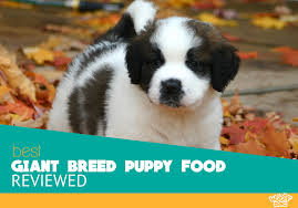Royal canin giant junior dry dog food. Best Giant Breed Puppy Food Our Top 7 Reviews For 2020