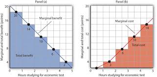 Markets Maximizers And Efficiency