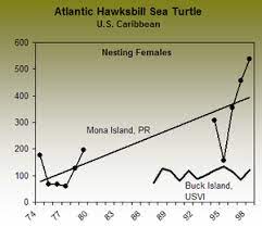 Hawksbill nesting population numbers are difficult to estimate. Caribbean