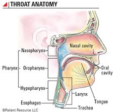 If he wants to take a better look, he might insert a microtube with a light and lens, known as a laryngoscope how to check for throat cancer at home: Patient Resource Publishing Head And Neck Throat