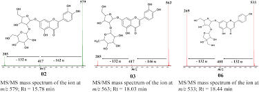 Image result for Sclerochiton vogelii