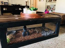 Outfit Coffee Table Tortoise Habitat Basic Table With Plexiglass Sides Tortoise Table Tortoise Habitat Aquarium Coffee Table