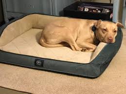 Shopping for a new dog bed? Serta Orthopedic Memory Foam Couch Pet Dog Bed Large Color May Vary Walmart Com Walmart Com