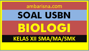 As maul husna yang sesuai dengan kalimat di atas adalah. Contoh Soal Usbn Biologi Smk Dikdasmen