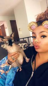 Lost Sphynx cat near Peasley Canyon, answers to "Aldo"