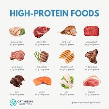 Image result for Protein