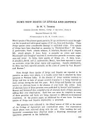 Image result for Sopubia ramosa