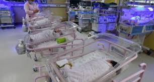 Gosiame thamara sithole, 37, was said to have delivered a set of. South African Gives Birth To 10 Babies At Once Breaking News Nigeria News Entertainment Sport Business Polities