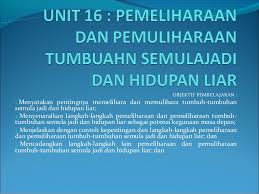 Melindungi alam sekitar akibat pencemaran yang teruk, pelbagai isu berkaitan dengan alam sekitar timbul. Sabarina Unit 16 Pemeliharaan Dan Pemuliharaan Tumbuhan Semulajadi Da