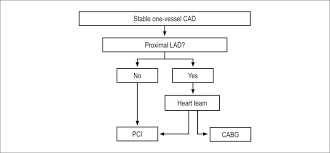 Scielo Brasil Guideline For Stable Coronary Artery Disease Guideline For Stable Coronary Artery Disease