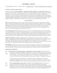 victoria zelin resume business