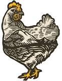 Best Bedding for Chickens: A Comprehensive Guide