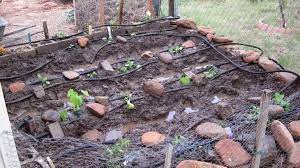 How long to keep soaker hose turned on. Advantage Of Soaker Hoses And How To Set Up Progardentips