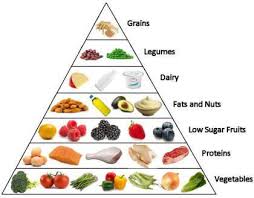 Pyramide Alimentarie Low Carb Pauvre Glucide Recettes Pauvres En Glucides Regime Pauvre En Glucides Maigrir Sans Faim
