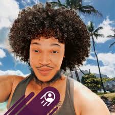 Kitten adoption in Reading, PA successful