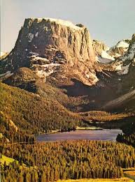 Ancient Giant Tree Stump From The Beginning Of God S Creation Of Earth Realm The Tree Grew And Was Strong And T Giant Tree Ancient Tree Creation Of Earth