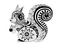 Make several types of wild cats. Zentangle Animals Cute Novocom Top