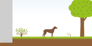 Einen hund kann man selbstverständlich auch ohne garten halten. Hundegerechter Garten 5 Tipps Und Hinweise Zur Gestaltung