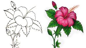Check spelling or type a new query. How To Draw A Hibiscus Flower Step By Step Very Easy Youtube