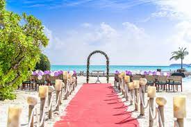 Bisa dari video, kata kata, hingga kumpulan foto lucu. 100 000 Best Wedding Background Photos 100 Free Download Pexels Stock Photos