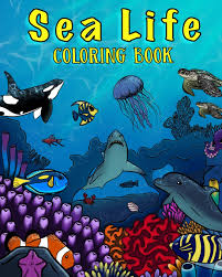 Under the sea app let you enjoy coloring the illustrations from the ocean. Sea Life Coloring Book A Coloring Book For Kids Ages 4 8 Features Amazing Ocean Animals To Color In Draw Activity Book For Young Boys Girls Berroa Blue Kids Books 9781075966033