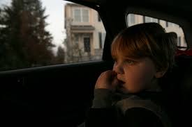 What our photographers saw