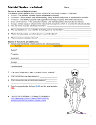 Skeletal System Worksheet
