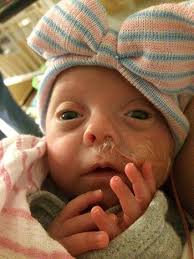 Shea and Will: Born to Be Buddies