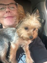 Love our handsome boys so much Lando and Chewbacca 🥰🥰