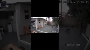 Gente, vivi para presenciar e sentir um terremoto. Ojezep 1xrrgzm