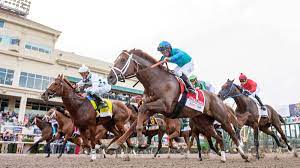 That's after the horse drew. 2021 Kentucky Derby Odds Contenders Legendary Expert Who Nailed Tiz The Law Makes Surprising Picks Cbssports Com