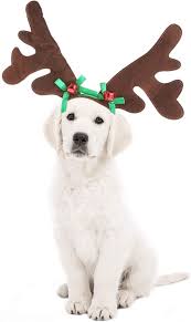 Free shipping on orders over $25 shipped by amazon. Amazon Com Kudes Dog Christmas Reindeer Antlers Headband Classic Elk Hat Headwear Pet Costumes Accessories Pet Supplies