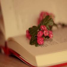 I own the kindle version of this book. A Little Story By Sternenfern On Deviantart Book Flowers Bloom Book Flowers Photography