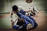 Jiu jitsu - , the free encyclopedia