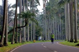 Caption text is brief description, heading, or title that identifier or introduces a Caption Foto Seperti Apa Bentuk Dan Fungsinya Lb Fotografi