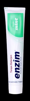 Sehat Tanpa Busa Dengan Pasta Gigi Enzim