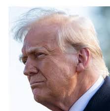 Criticism of Public Figure's Hair Appearance