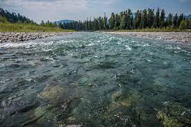 A river is a stream of water that flows through a channel in the surface of the ground. River Connections 50 Years Of Wild And Scenic Rivers U S National Park Service