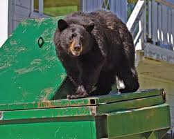 Why is pest management important? Controlling Nuisance Animals Squirrels And Bats And Bears Oh My The New Jersey Cooperator The Condo Hoa Co Op Monthly