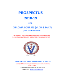 If you're ready to try your hand at coding, you're in luck, because there is no shortage of online classes and resources available. Fillable Online Diploma Courses Vldd Dvlt Fax Email Print Pdffiller