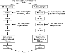 It is named for the biochemist oliver h. Improvement On The Modified Lowry Method Against Interference Of Divalent Cations In Soluble Protein Measurement Springerlink