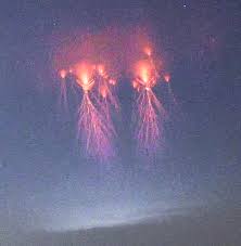 Jellyfish Sprites Above An Intense Thunderstorm Near Oklahoma City May 2018 Credit Paul Smith In 2020 Thunderstorm Clouds Wild Weather Abstract Cloud