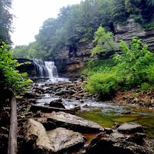 Visit bringfido for an overview of the trail, along with pictures, directions, and reviews from dog owners. 8 Cummings Falls Ideas Cummings Falls Cummins Falls State Park Tennessee Travel