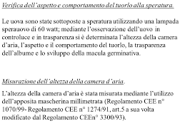 We did not find results for: Uova Ppt Scaricare