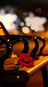 خلفيات سنابات red roses flowers bouquet petals
