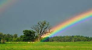 There are more types of rainbows in the world than you may realize. What Are The Different Types Of Rainbows Science Online