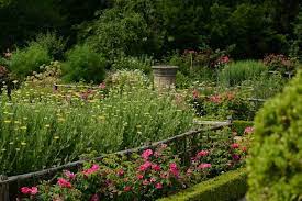 epingle sur le grand jardin 52 entre buis et fruitiers