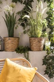 Mit Blumentopf Pflanzen Gross Rausbringen Blumentopf Pflanzen Outdoor