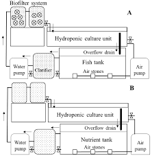 Water Free Full Text Characterizing Nutrient Composition And Concentration In Tomato Basil And Lettuce Based Aquaponic And Hydroponic Systems Html