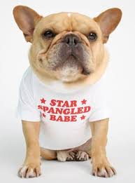 Star Spangled Babe Dog Tee Dog Shirt Bulldog Dogs Tee